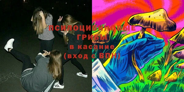 PSILOCYBIN Покачи