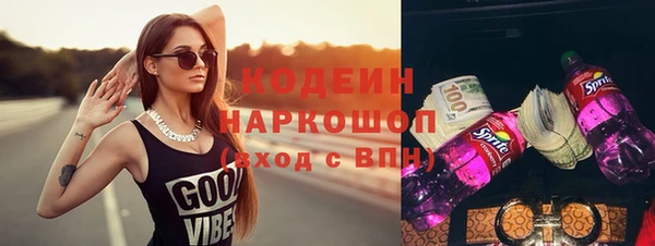 соль ск Дубна