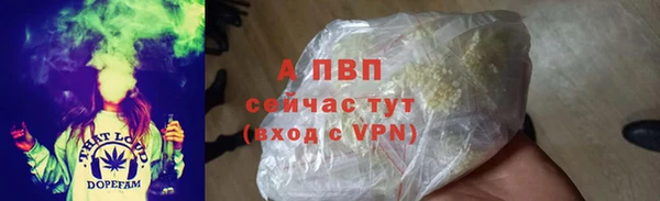 PSILOCYBIN Покачи