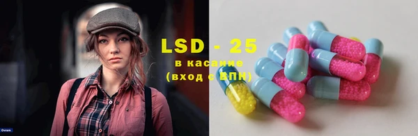 PSILOCYBIN Покачи