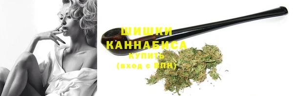 PSILOCYBIN Покачи