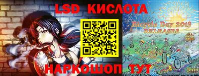 шишки Абакан