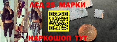 шишки Абакан