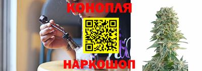 шишки Абакан