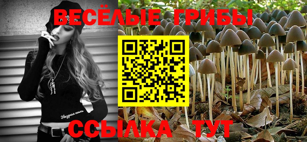 Псилоцибиновые грибы ЛСД Торжок