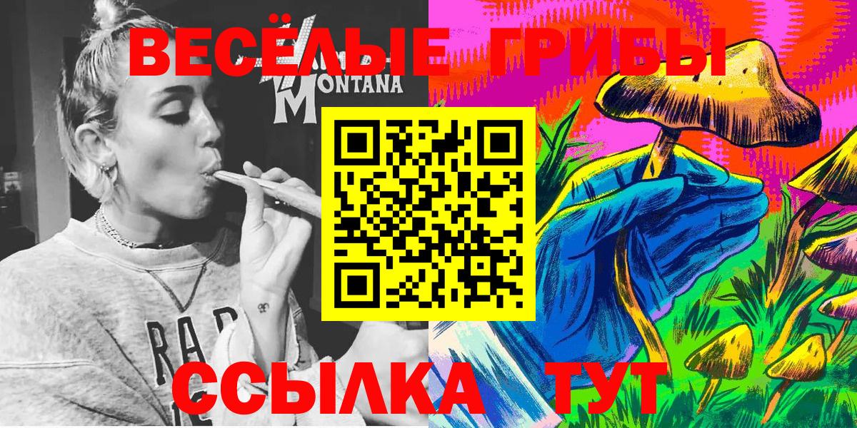 Псилоцибиновые грибы ЛСД Торжок